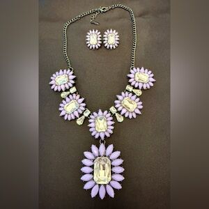 Elegant Purple and Black  Necklace Set